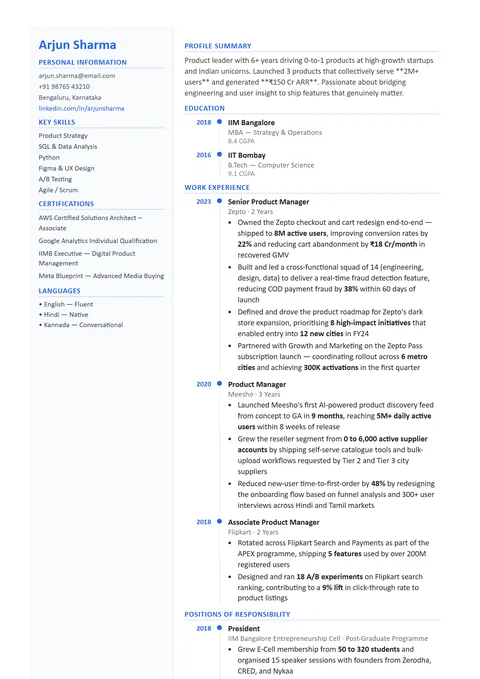 Naukri Timeline resume template